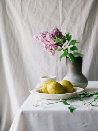 Awabi ware｜あわびウェアの通販｜ELLE SHOP (エル・ショップ)